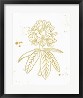 Framed Gold Blooms II