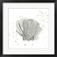 Sea Scallop Framed Print