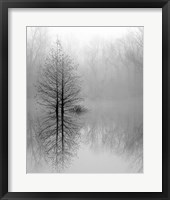 Framed Lake Trees in Winter Fog