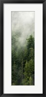Framed Smoky Forest Panel III