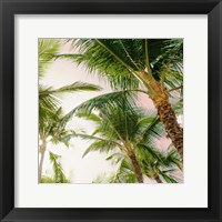 Bright Oahu Palms I Framed Print