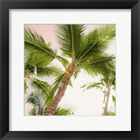 Bright Oahu Palms II Framed Print