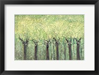 Framed Live Green Trees