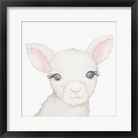 Framed Baby Lamb