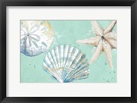 Framed Beach Shells on Turquoise Rectangle