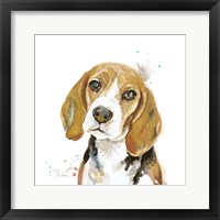 Framed Watercolor Beagle