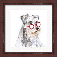 Framed 'Schnauzer With Glasses' border=