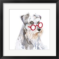 Schnauzer With Glasses Framed Print