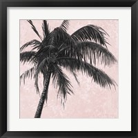 Framed 'Gray Palm on Pink I' border=