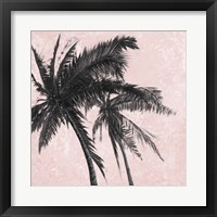 Framed 'Gray Palm on Pink II' border=