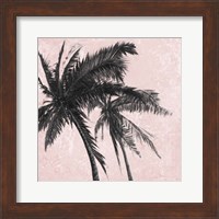 Framed Gray Palm on Pink II