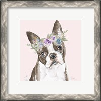 Framed 'Flower Crown Pet III' border=