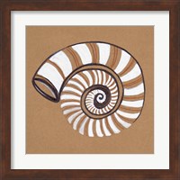 Framed 'Ocean World Shell' border=