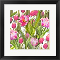 Tulip Symphony I Framed Print