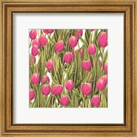 Framed 'Tulip Symphony II' border=