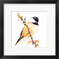 Framed 'Watercolor Chickadee I' border=