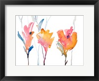 September Blooms II Framed Print