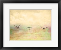 Framed Seagulls In The Sky I