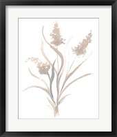 Framed 'Beige Herb I' border=