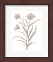 Framed 'Beige Herb II' border=