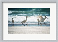 Framed Egret Walk