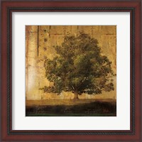 Framed 'Aged Tree I' border=