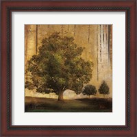 Framed 'Aged Tree II' border=