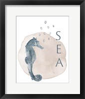Sea Seahorse Framed Print