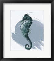 Seahorse Framed Print