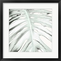 Framed Summer Palm