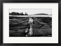 Framed Stony Shore