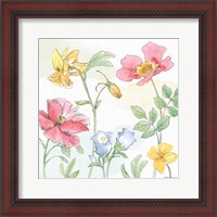 Framed 'Peaceful Petals VIII' border=