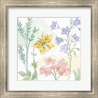 Framed 'Peaceful Petals VII' border=