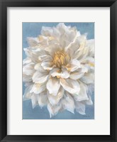 Open Petals I Framed Print