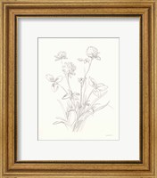 Framed 'Nature Sketchbook VIII' border=