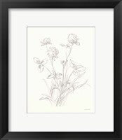 Framed 'Nature Sketchbook VIII' border=