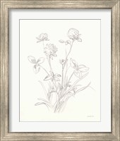 Framed 'Nature Sketchbook VIII' border=