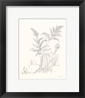 Framed 'Nature Sketchbook VI' border=