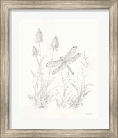 Framed 'Nature Sketchbook IV' border=