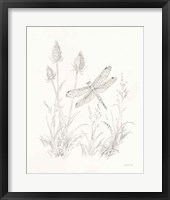 Framed 'Nature Sketchbook IV' border=