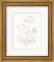 Framed 'Nature Sketchbook III' border=