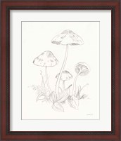 Framed 'Nature Sketchbook III' border=