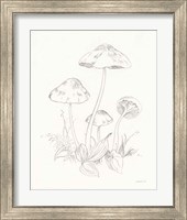 Framed 'Nature Sketchbook III' border=