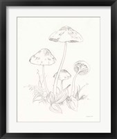 Framed 'Nature Sketchbook III' border=