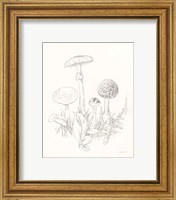 Framed 'Nature Sketchbook II' border=