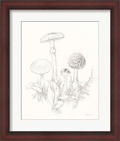 Framed 'Nature Sketchbook II' border=