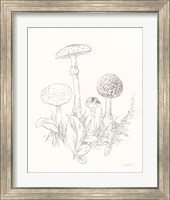 Framed 'Nature Sketchbook II' border=