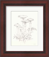 Framed 'Nature Sketchbook I' border=