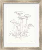 Framed 'Nature Sketchbook I' border=