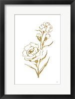 Framed Gold Line Carnation III